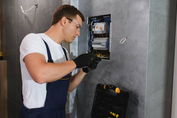 Best Electric Panel Repair  in Leisure Village, NJ
